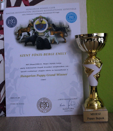 Hungarian Puppy Grand Winner