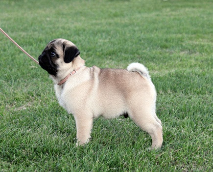 Infinity 3 hónaposan