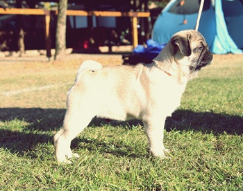 Infinity 4 hónaposan