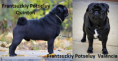 /album/2024-06-14-apa-hch-frantsuzkiy-potseluy-quinton-anya-hch-frantsuzkiy-potseluy-valencia-szentmiklosi-csillag-fenye-first-love-fortune-boy-fortune-girl/400-png1/